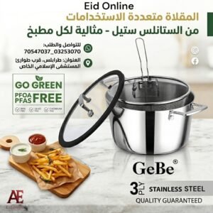Stainless Fryer Pot Frying & Basket