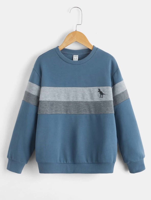ween Boy Color Block Dinosaur Printed Sports Sweatshirt
